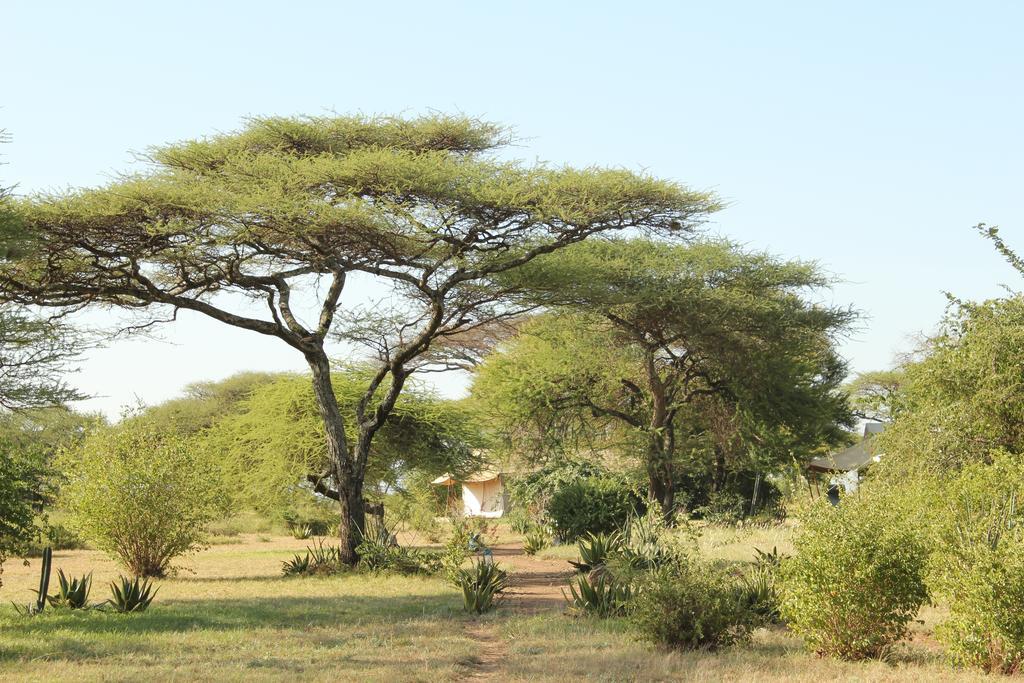Mapito Tented Camp Serengeti Exterior photo